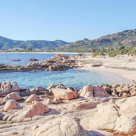 Quadri 8 * 维拉普特祖