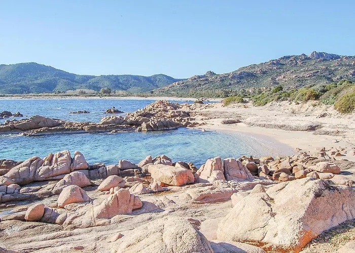 Quadri 8 * 维拉普特祖