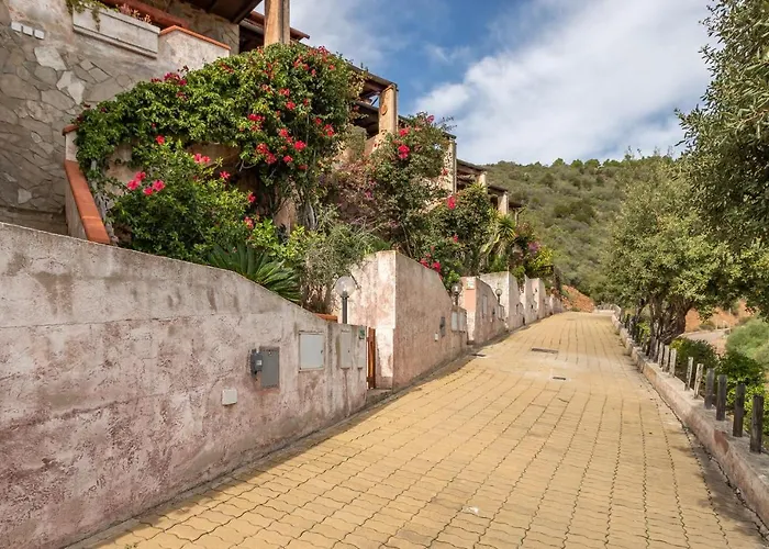 Quadri 8 * 维拉普特祖